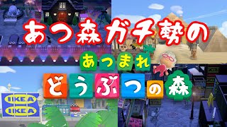 【あつ森】IKEAもドンキもあるあつ森ガチ勢の島に行ってみた【ガチ】
