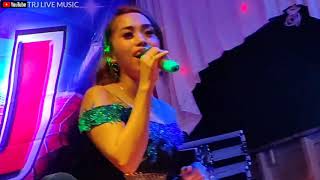 Download lagu Janji Mix - Elva mustika || Dangdut Orgen Tunggal Terbaru || TRJ LIVE MUSIC mp3