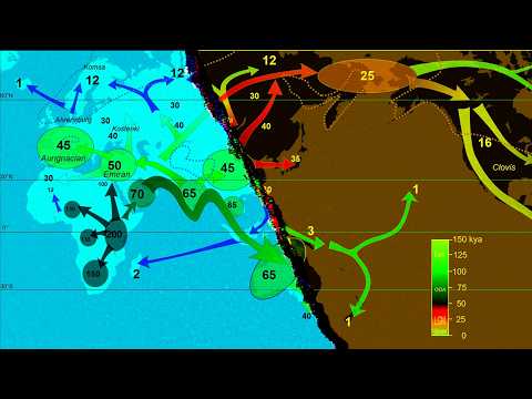 Why Sapiens Beat Cavemen | History 200,000 Years Ago