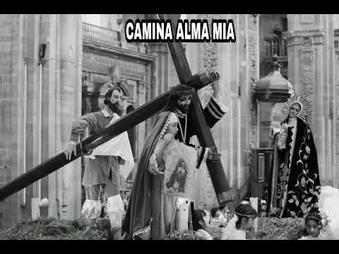 CAMINA ALMA MIA (CORO NAZARENO ORATORIO DE SAN FELIPE NERI) Assinatura