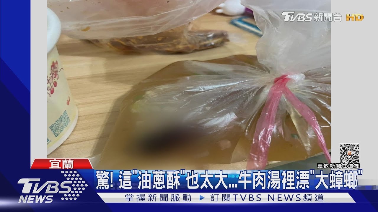 驚！這「油蔥酥」也太大　牛肉湯裡漂「大蟑螂」