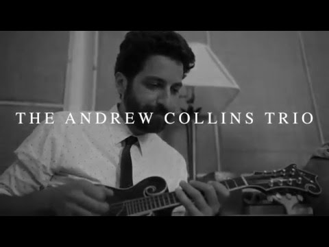 Coffee Time - The Andrew Collins Trio take a break!