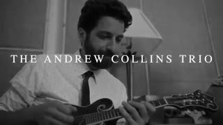 Coffee Time - The Andrew Collins Trio take a break!