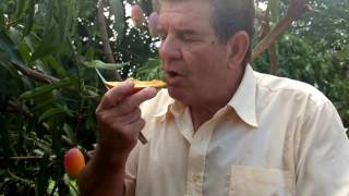 Manga Espada Vermelha