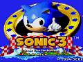 OLD Sonic The Hedgehog 3 Classic Collection DS Full Game Walkthrough 100 No Commentary
