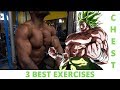 MY 3 BEST EXERCISES FOR A NATURAL (IN)SAIYAN CHEST