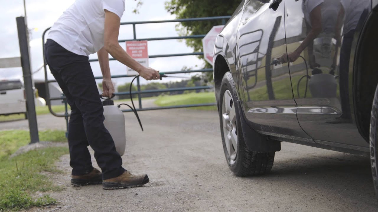 King Cole Ducks - Biosecurity