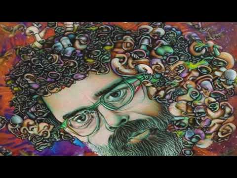 Terence McKenna - Enduring Legacy of Ancient Literatures