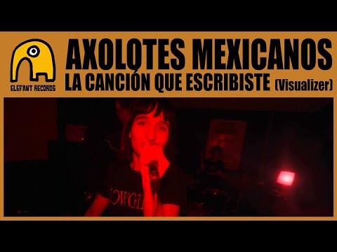 AXOLOTES MEXICANOS - La canción que escribiste [Visualizer]