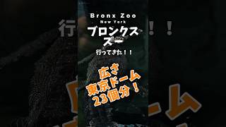 東京ドーム23個分の大きさ ブロンクス ズー に行ってきた!