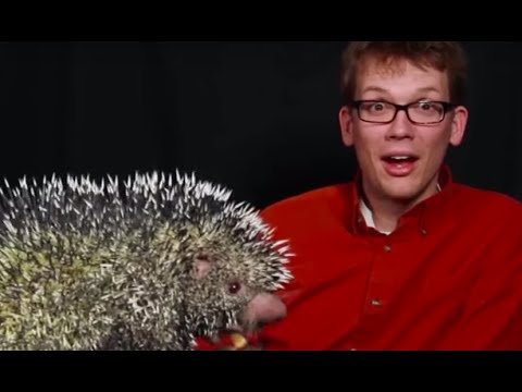 Is This the Cutest Animal Noise?