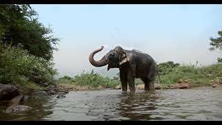 Tenkasi Tourism | The Land of Waterfalls | Tamil Nadu | ad film