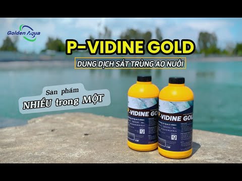 Enzym sinh học phân hủy bùn hữu cơ dưới đáy ao lâu năm
