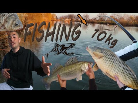 PECANJE ŠARANA - ŠTUKE - ŠEST KAPITALNIH ULOVA 😱🐟🎣(DULE MENADZER)