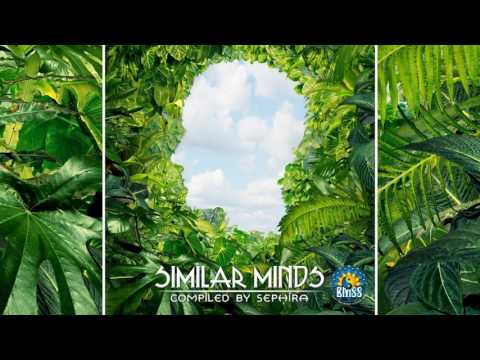 Sephira feat. The Hang Playing Hedge Monkeys - Top Mast