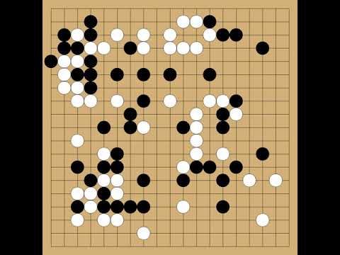 Cho Chikun(9p) vs Fujisawa Shuko(9p) - 1982-08-30 - komi: 5.5