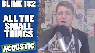 Blink 182 - All The Small Things (Acoustic Cover by DJ Sennett)