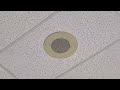 Menards Jingle On Speaker
