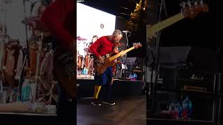 Flea - “Irresistible Groove” #Shorts #RedHotChiliPeppers #Flea