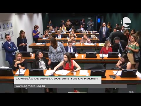 DIREITOS DA MULHER - Reunião Deliberativa - 12/11/2019 - 10:54