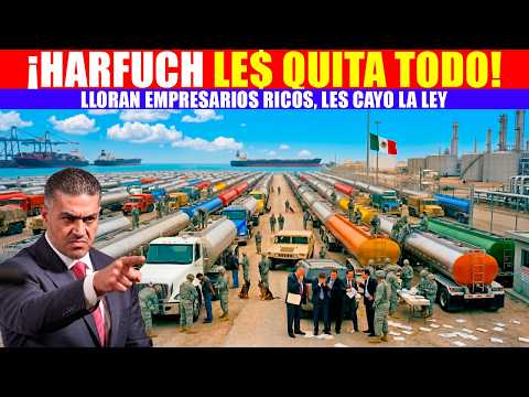 🚨⚠️👏🏽MIRA:HARFUCH LOS DEJO EN CERO, DA GOLPE FULMINANTE COMO NUNCA ANTES VISTO