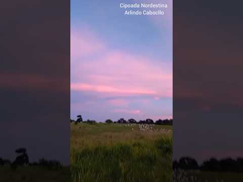 Coisas do Nordeste - Serra da Raiz-PB Crédito: Beto de Toré #nordeste #pordosol #paraiba