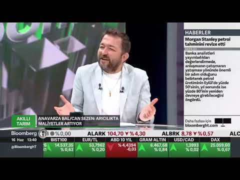 BLOOMBERGHT | Arıcılık ve Bal Sektörü