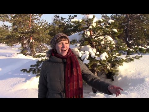 Noche De Paz - Ночь тиха - Svetlana Y Jean Atauje ( Video Oficial )