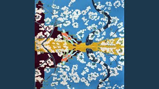 Roue Arrière "Rue de la Ré"