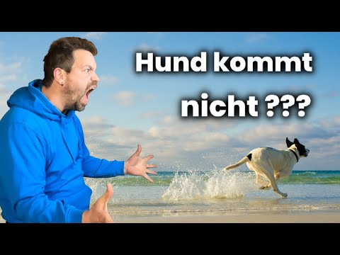 THIS is how your callback is guaranteed to work 😍 (step-by-step instructions)