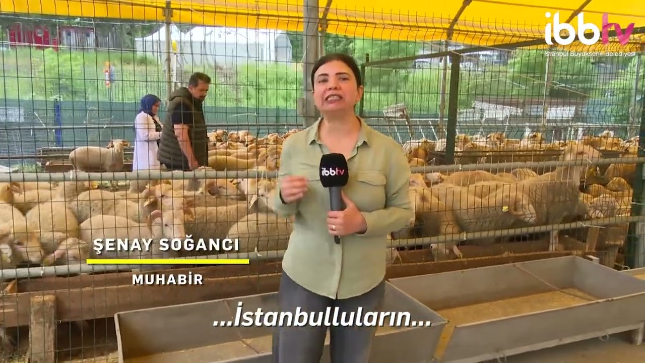 İBB KURBAN ALANLARINDA HİZMET VERİYOR