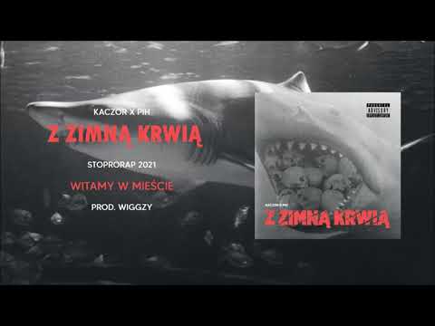 Kaczor x Pih - W Mieście (prod. Wiggzy) / BONUS TRACK
