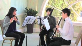 Kummer: Trio in F Major, Op.32 - II. Andante grazioso