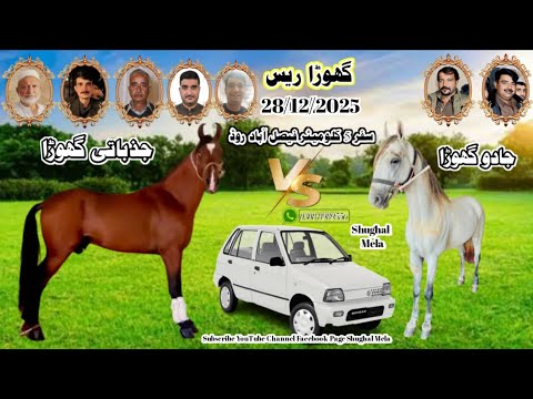 Jazbati Vs Jadu Horse Race 02 January 2026 || Tanga Race || #horse #horseriding #trending