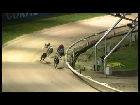 Aayamza Breeze - Coral Regency - Final