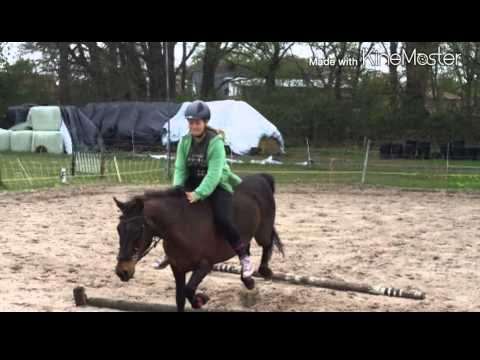 Cavaletti und Stangen Arbeit am 3.5.2015