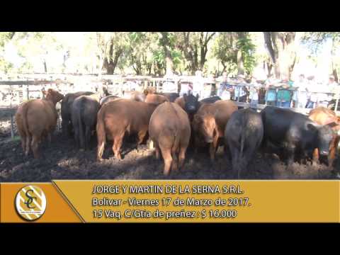 17-03-17 Venta de Vientres - Jorge y Martin de la Serna S.R.L. - Bolivar.