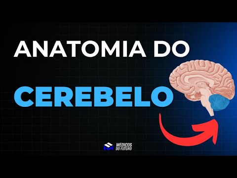 Basic Cycle: Anatomy - Anatomy of the Cerebellum: everything you need to know (in 16 minutes)