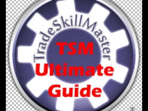 Ultimate TSM Guide Part 2 | Profession Crafting and Gathering | How to Make Gold #4