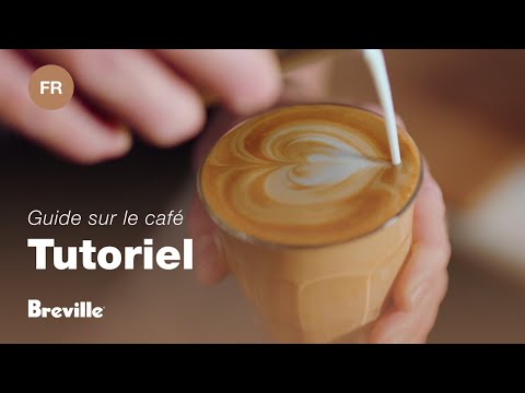 miniature vidéo