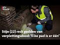 Padden massaal aan de wandel, reddingsteam in Zeist draait op volle toeren