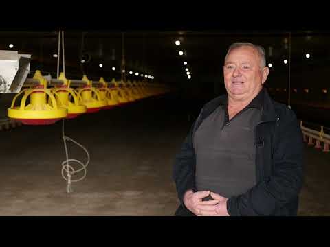 Naša priča ep. 286 11.02.2021. Đura Cvijić, živinarstvo, Kladare