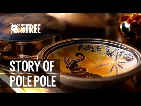 Story of Pole Pole