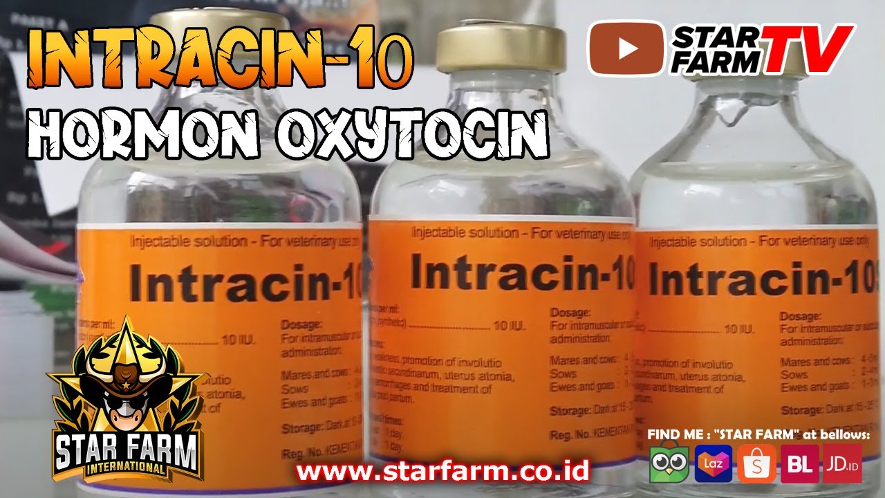 STAR FARM STORE - Intracin 10s