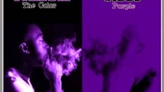 FREDDIE GIBBS - the color purple