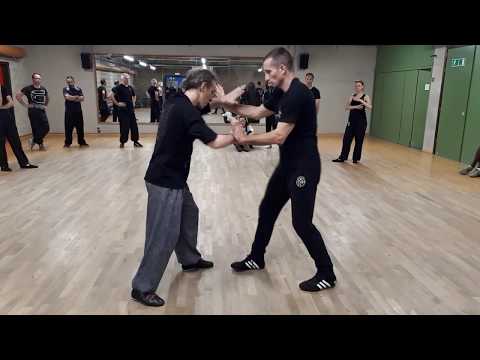 WING CHUN DEMO | Sifu Didier Beddar Free Flow with David Bertrand