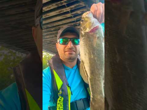Smashing Smallmouth Action on the Des Plaines River!