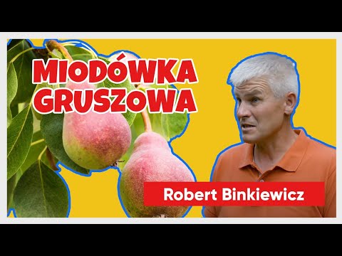 Ochrona sadu przed miodówką gruszową | e-pole w ogrodzie