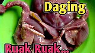 CARA MEMBERSIHKAN BURUNG RUAK RUAK (SETELAH DISEMB