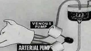 Experiments in the Revival of Organisms (1940) Part 1